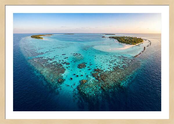 Maldivian Coral Reef Serenity