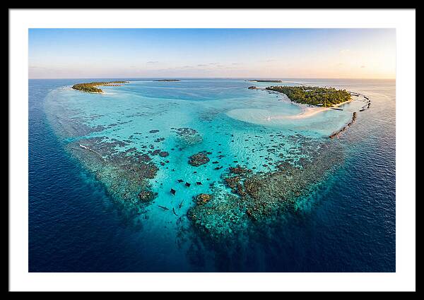 Maldivian Coral Reef Serenity