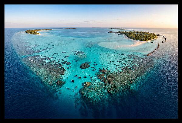 Maldivian Coral Reef Serenity