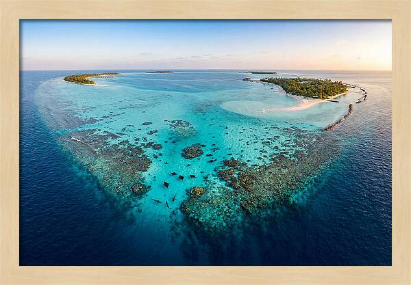 Maldivian Coral Reef Serenity