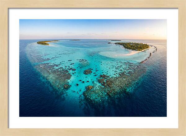 Maldivian Coral Reef Serenity