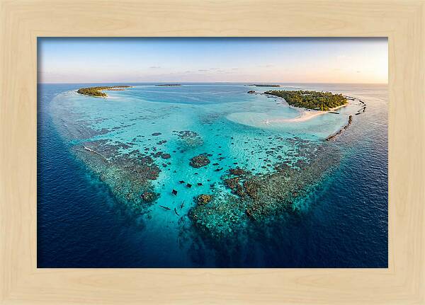 Maldivian Coral Reef Serenity