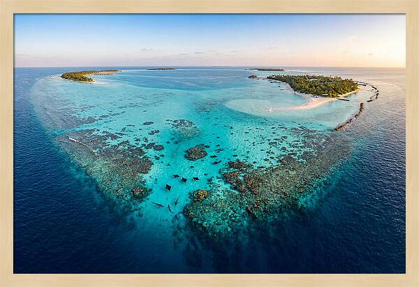 Maldivian Coral Reef Serenity