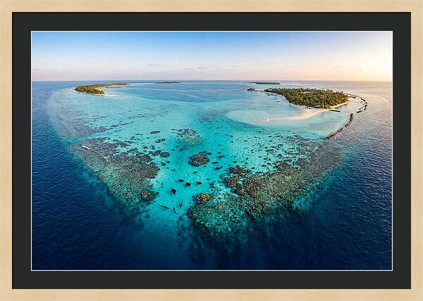 Maldivian Coral Reef Serenity