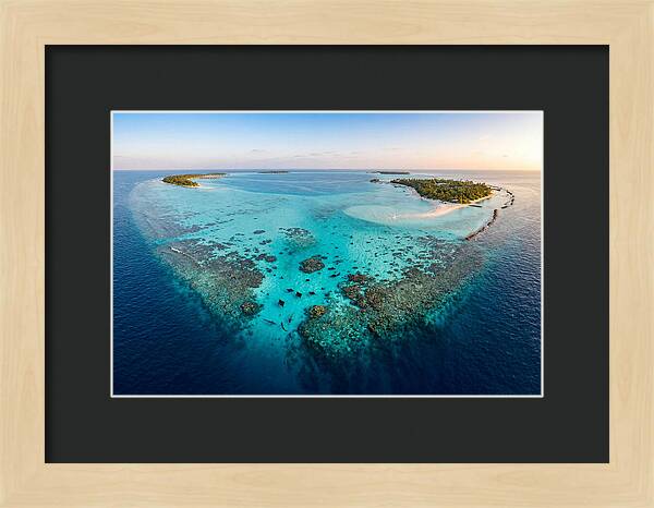 Maldivian Coral Reef Serenity