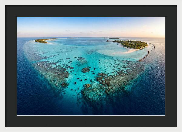 Maldivian Coral Reef Serenity