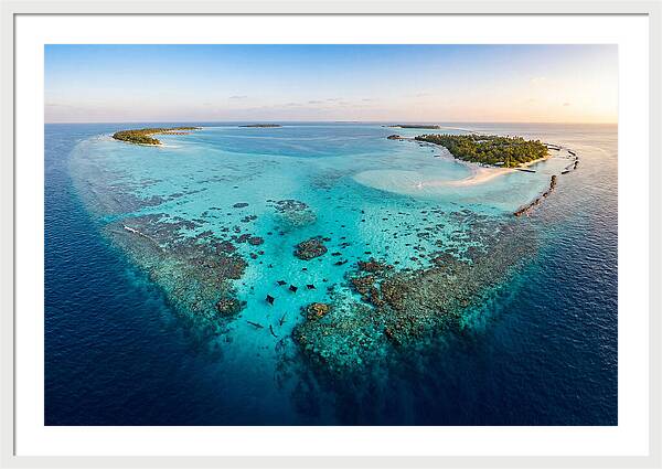 Maldivian Coral Reef Serenity