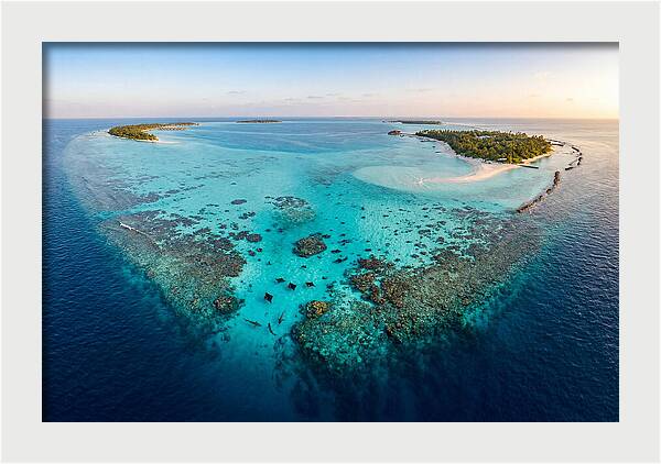 Maldivian Coral Reef Serenity
