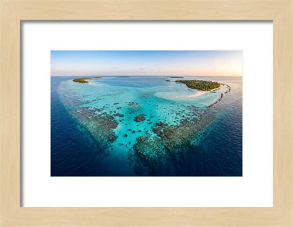 Maldivian Coral Reef Serenity