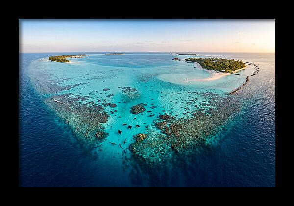 Maldivian Coral Reef Serenity