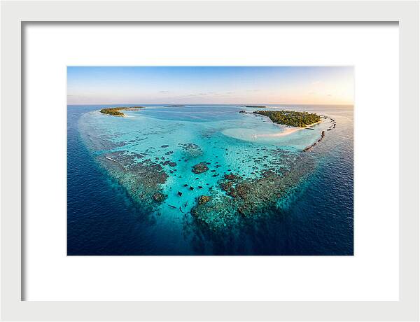 Maldivian Coral Reef Serenity