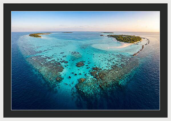 Maldivian Coral Reef Serenity
