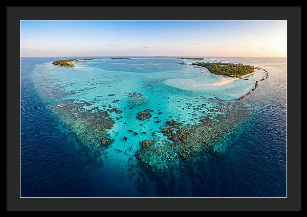 Maldivian Coral Reef Serenity