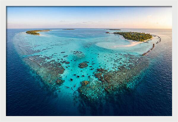Maldivian Coral Reef Serenity