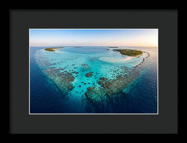 Maldivian Coral Reef Serenity