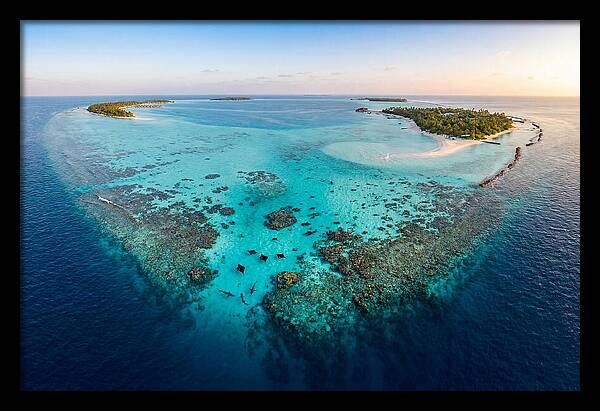 Maldivian Coral Reef Serenity