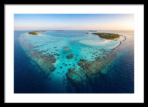 Maldivian Coral Reef Serenity