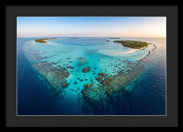 Maldivian Coral Reef Serenity