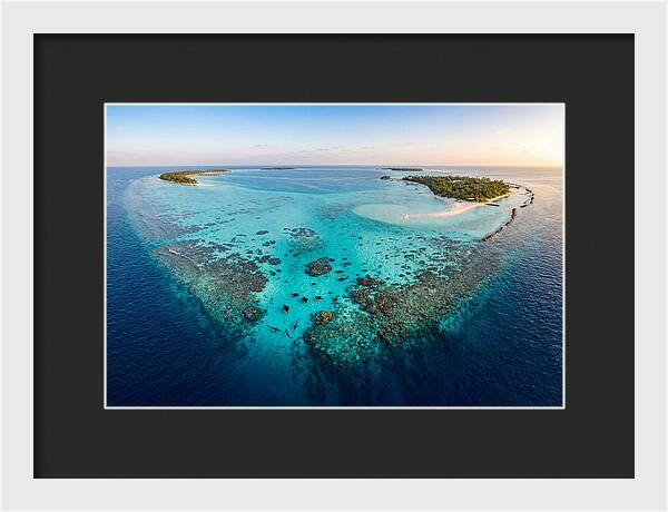 Maldivian Coral Reef Serenity