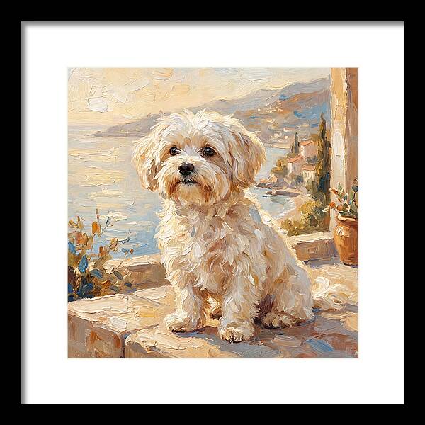 Maltese By The Mediterranean