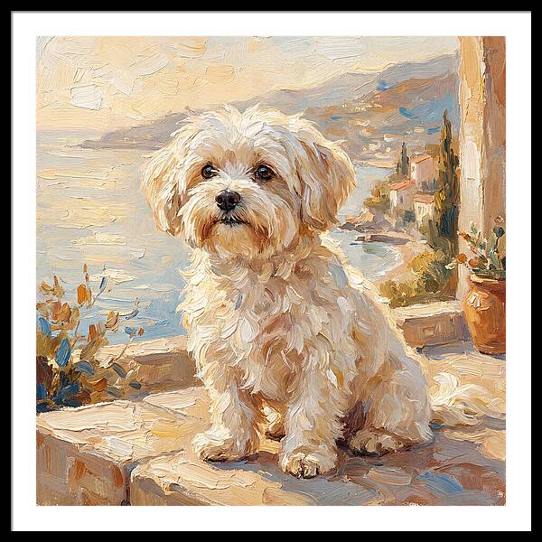 Maltese By The Mediterranean