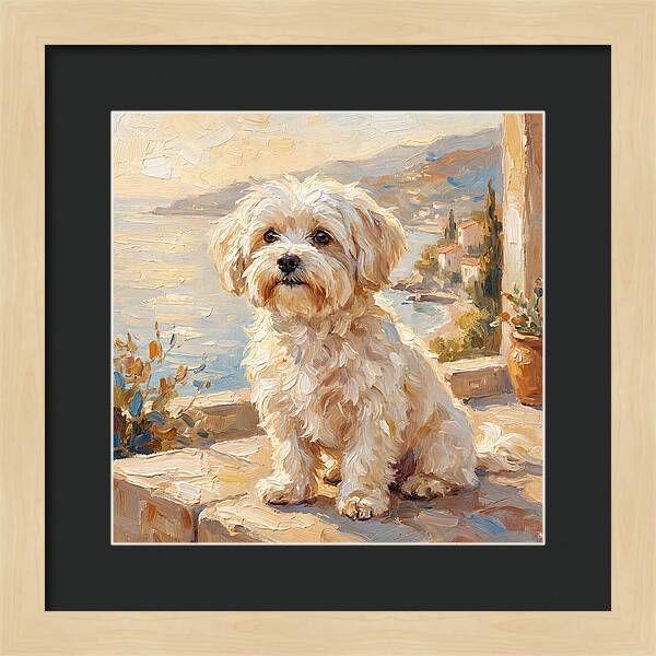 Maltese By The Mediterranean