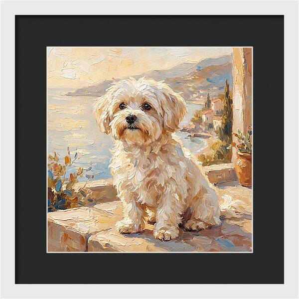 Maltese By The Mediterranean