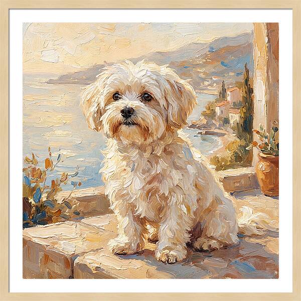 Maltese By The Mediterranean