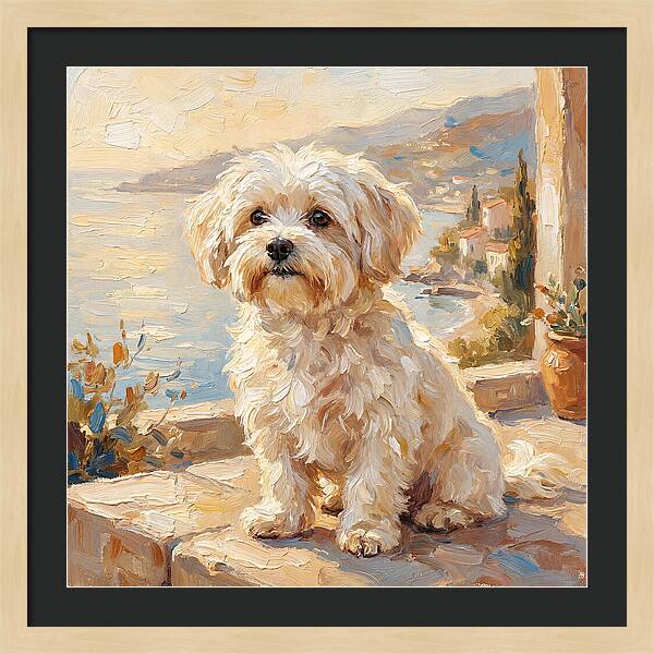 Maltese By The Mediterranean