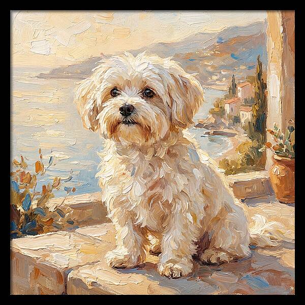 Maltese By The Mediterranean