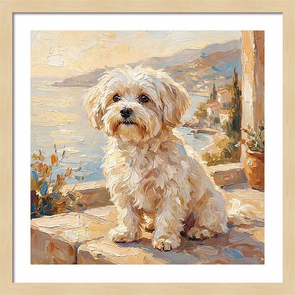 Maltese By The Mediterranean