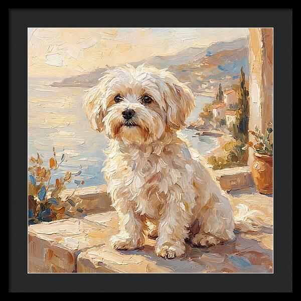 Maltese By The Mediterranean