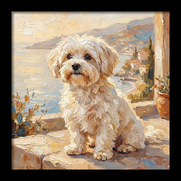 Maltese By The Mediterranean
