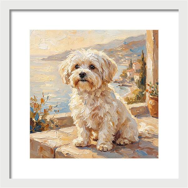 Maltese By The Mediterranean