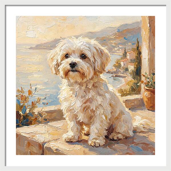 Maltese By The Mediterranean