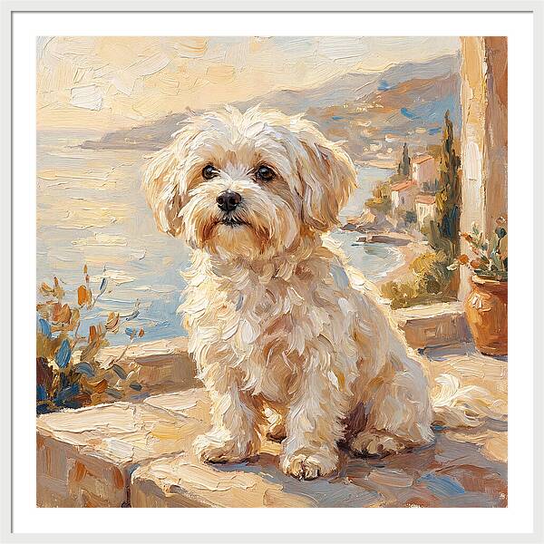 Maltese By The Mediterranean