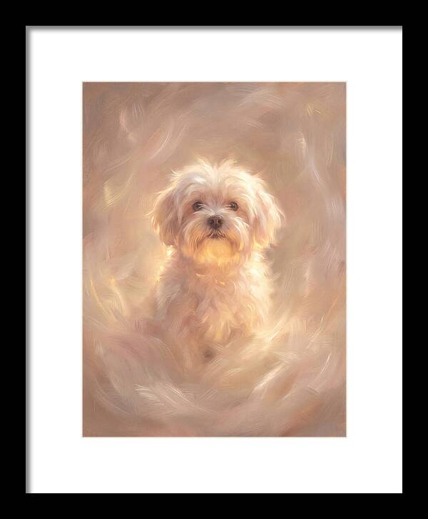 Maltese Dog In Glow