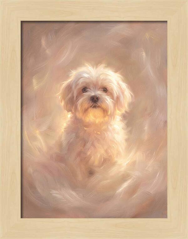 Maltese Dog In Glow