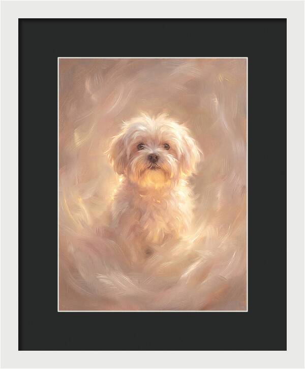 Maltese Dog In Glow