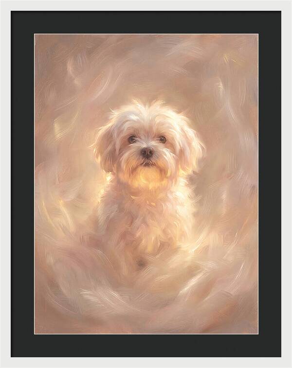 Maltese Dog In Glow