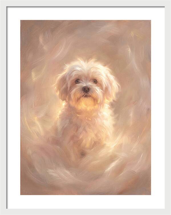 Maltese Dog In Glow