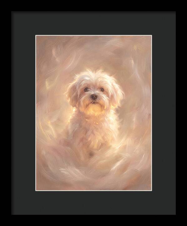 Maltese Dog In Glow