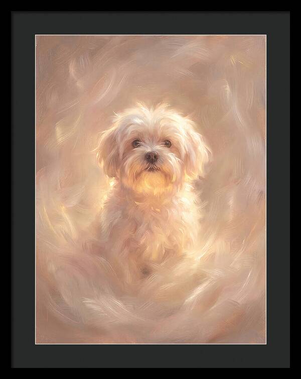 Maltese Dog In Glow