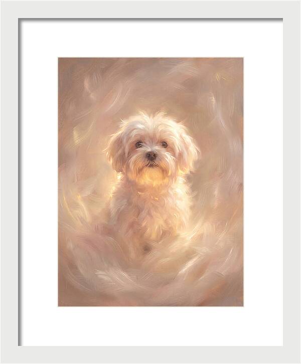 Maltese Dog In Glow