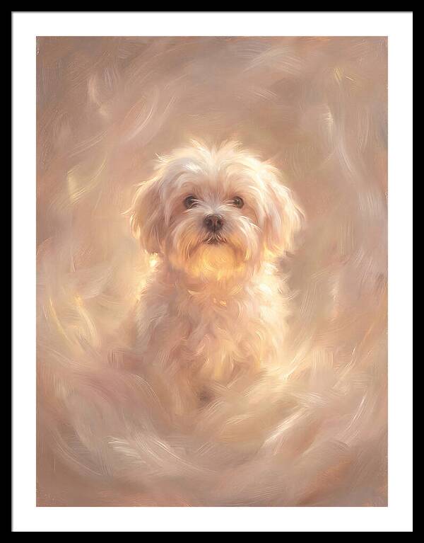 Maltese Dog In Glow