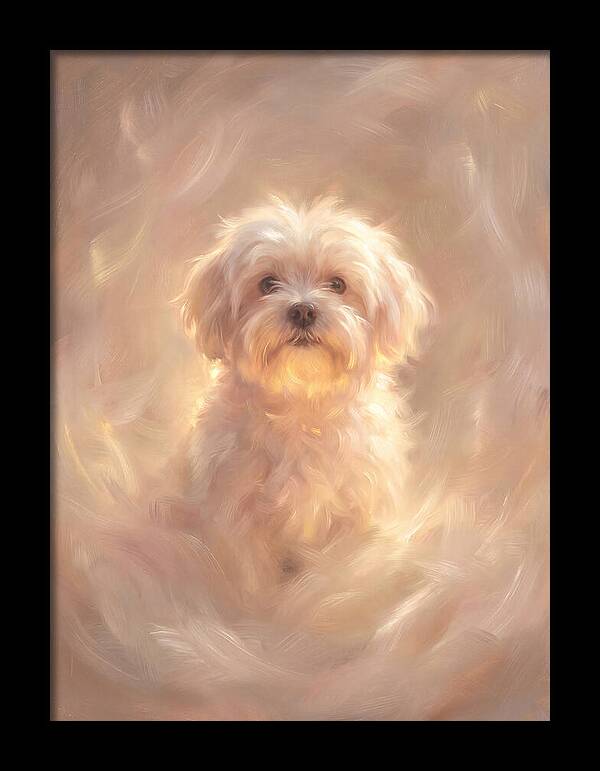 Maltese Dog In Glow