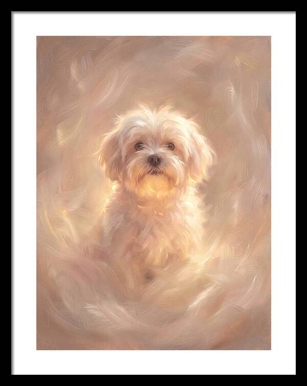 Maltese Dog In Glow
