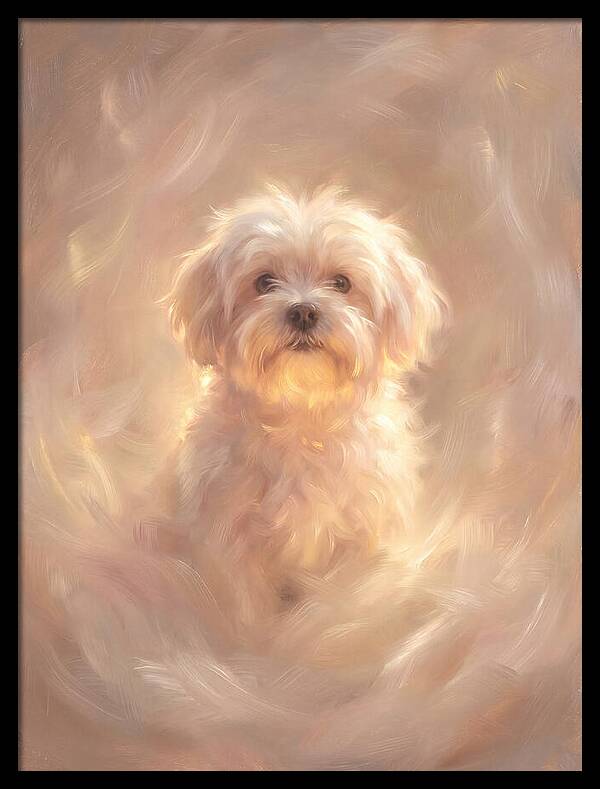 Maltese Dog In Glow