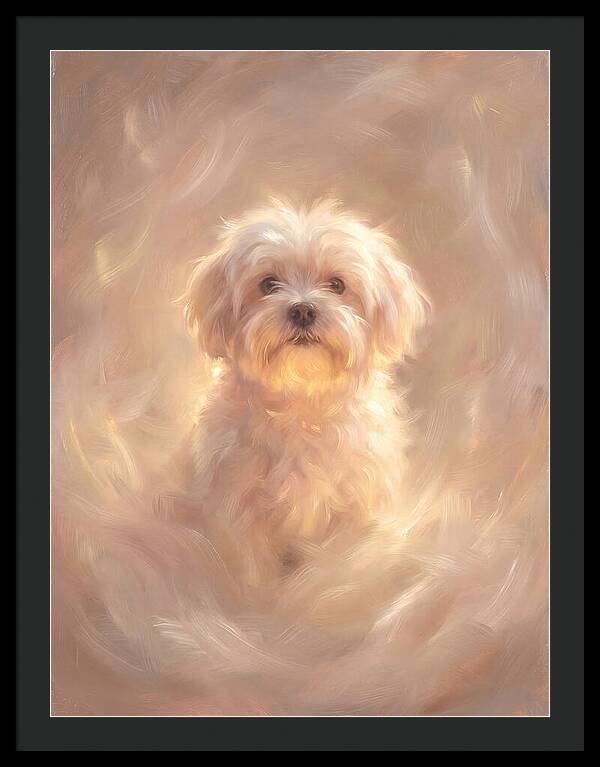 Maltese Dog In Glow