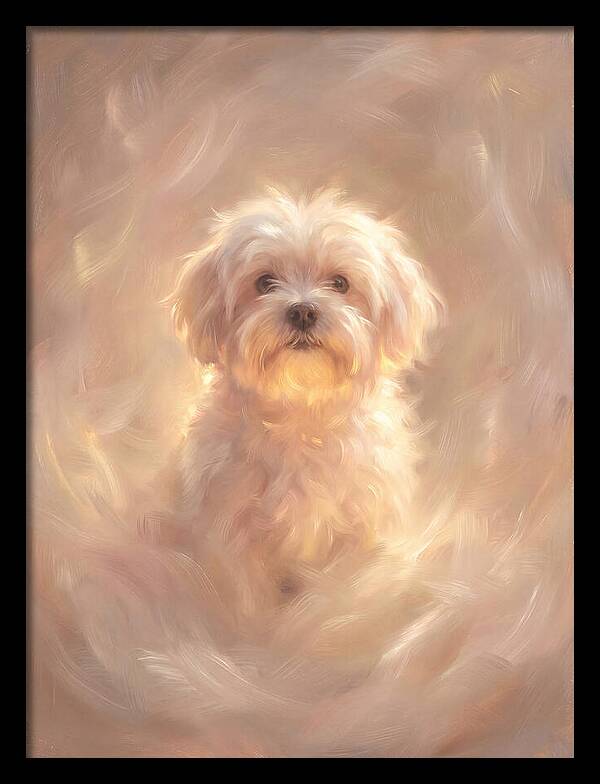 Maltese Dog In Glow